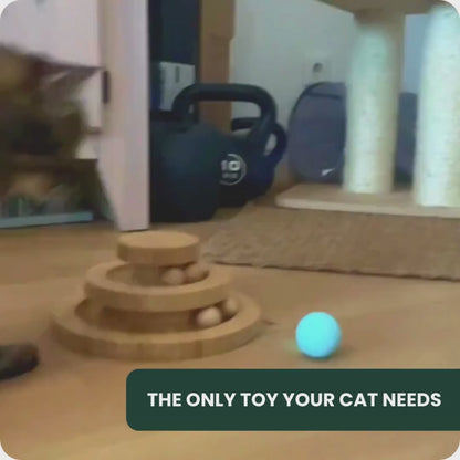 CAT TOY POWER BALL 2.0